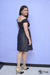 Mannara Chopra at Rogue Movie Success Meet